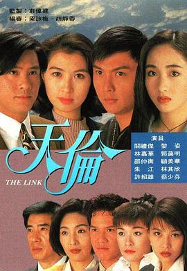 天伦1993第29集